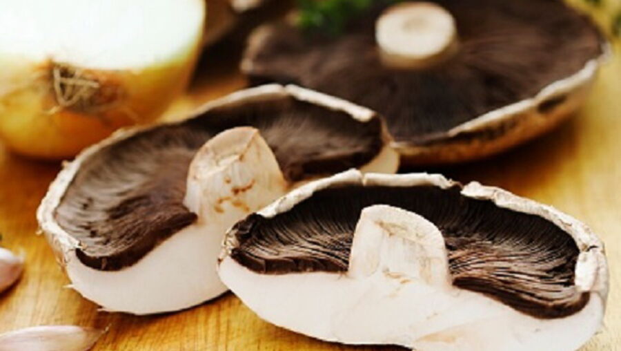 Cogumelos 'shiitake'